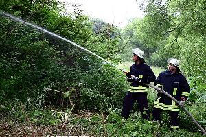 Bild: Brandbek&amp;auml;mpfung bei der Waldbrand&amp;uuml;bung
