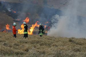 Bild: Auf einer Fl&amp;auml;che von circa einem Hektar brannte Stroh und einige Rundballen auf dem Wackenberg