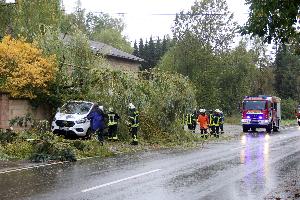 Bild: In der Bolzenbergstra&amp;szlig;e begrub ein gr&amp;ouml;&amp;szlig;erer Baum zwei geparkte Fahrzeuge